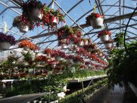 greenhouse 2012 036